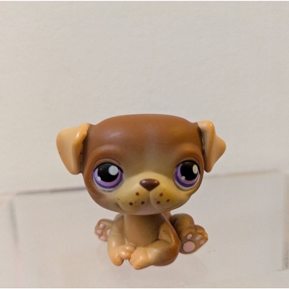 Littlest Pet Shop #133 Brown Pug Dog Purple Eyes LPS
